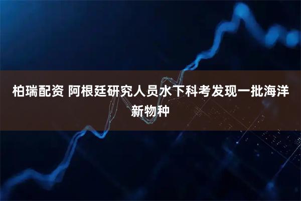 柏瑞配资 阿根廷研究人员水下科考发现一批海洋新物种