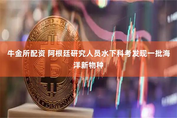 牛金所配资 阿根廷研究人员水下科考发现一批海洋新物种
