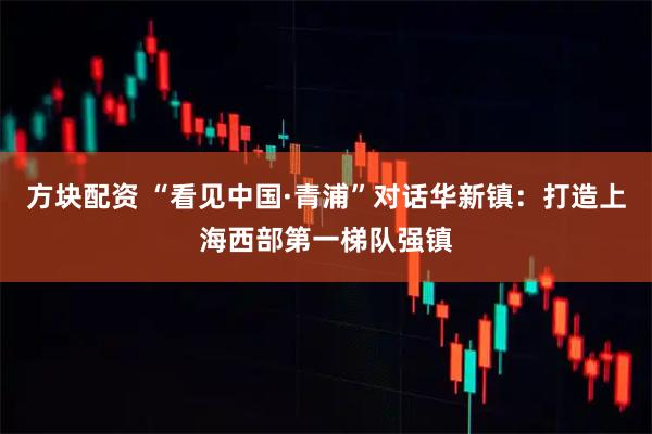 方块配资 “看见中国·青浦”对话华新镇：打造上海西部第一梯队强镇