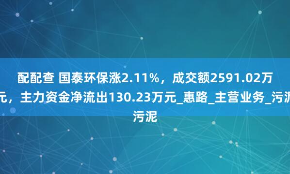 配配查 国泰环保涨2.11%，成交额2591.02万元，主力资金净流出130.23万元_惠路_主营业务_污泥