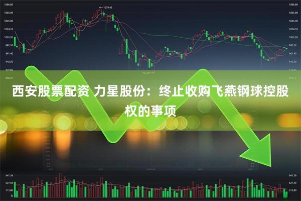 西安股票配资 力星股份：终止收购飞燕钢球控股权的事项