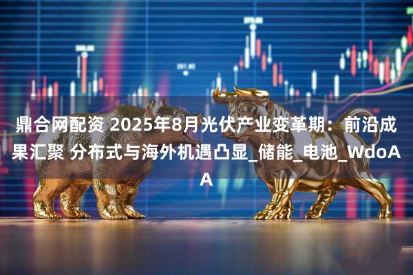 鼎合网配资 2025年8月光伏产业变革期：前沿成果汇聚 分布式与海外机遇凸显_储能_电池_WdoA