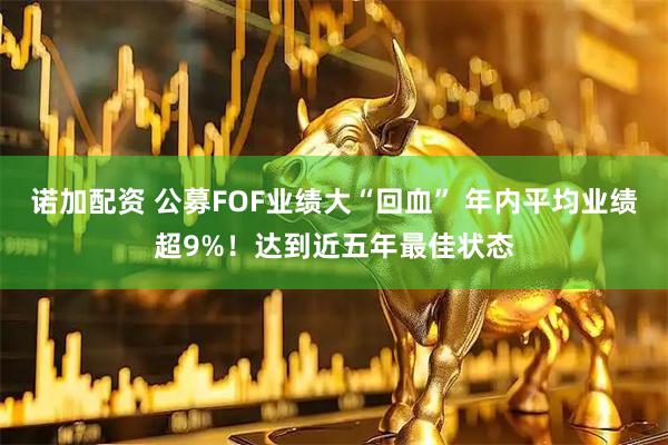 诺加配资 公募FOF业绩大“回血” 年内平均业绩超9%！达到近五年最佳状态